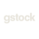 gstock_icon_White