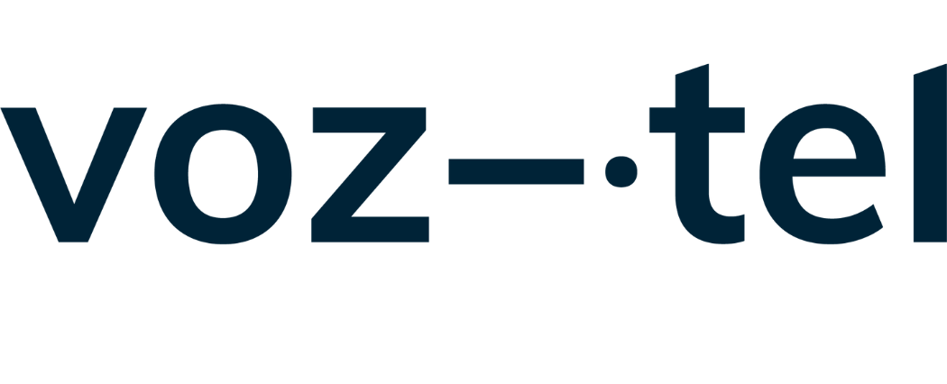 vozitel logo black